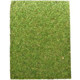 Repti-Zoo Natural Moss Back&Bottom - tło i podłoże z mchu 20x30cm